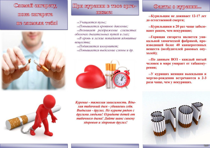 Мы за здоровый образ жизни! Мы за здоровый образ жизни!.